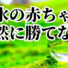 魂の浄化②「清水の質を持つ」「日本で生まれた赤ちゃん」「自然には勝てない」しゅ星