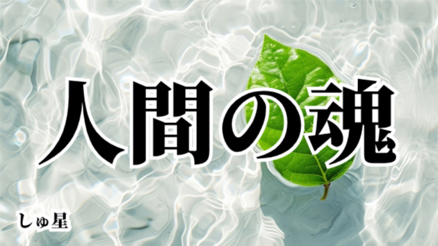 魂の浄化①「魂の浄化について」「人間の特徴」しゅ星